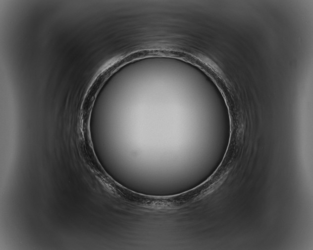 X0000085730974200703231044