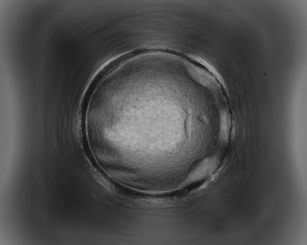 X0000085730976200703231044