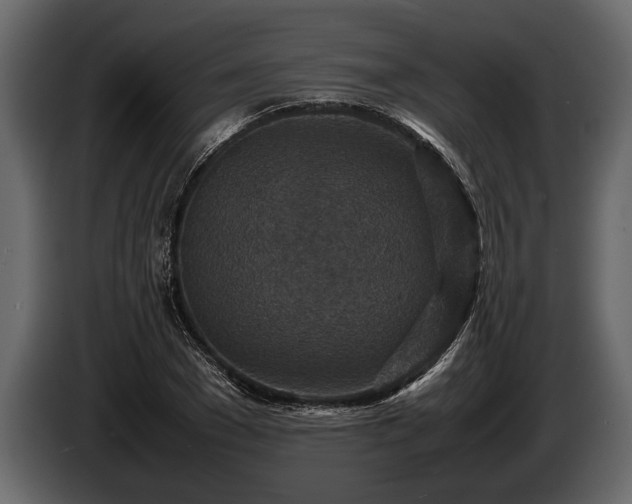 X0000085730977200703231044