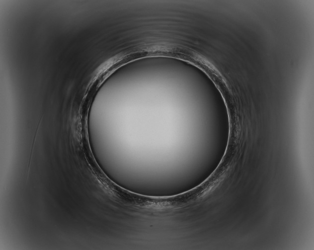 X0000085730978200703231044