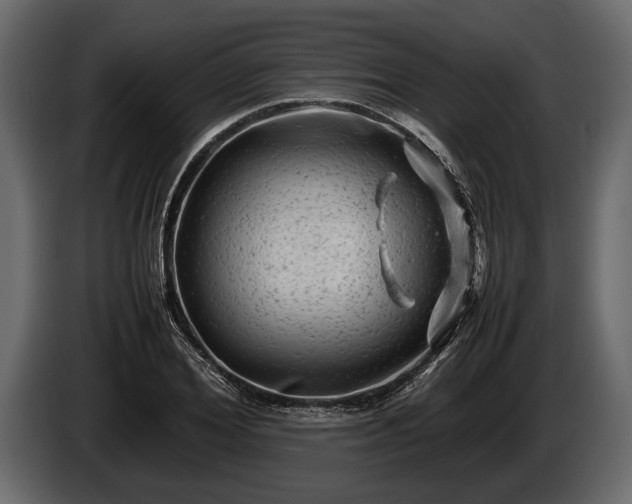 X0000085730980200703231044