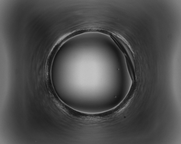 X0000085730981200703231044