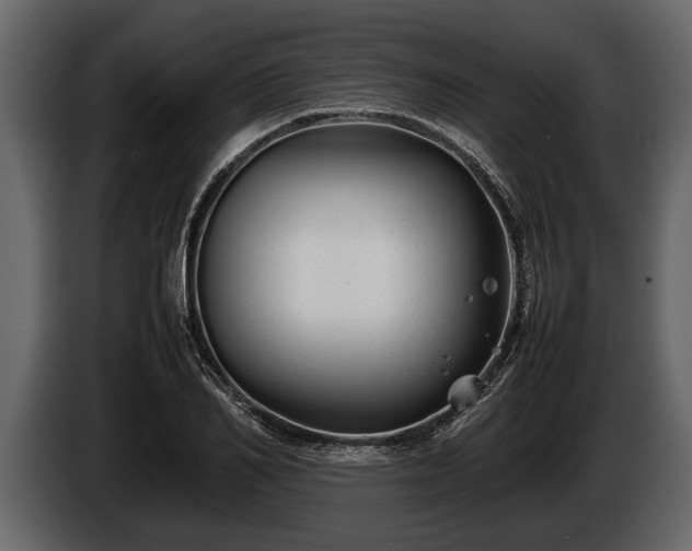 X0000085730982200703231044