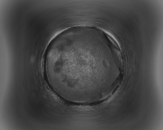 X0000085730983200703231044