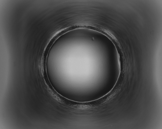 X0000085730984200703231044