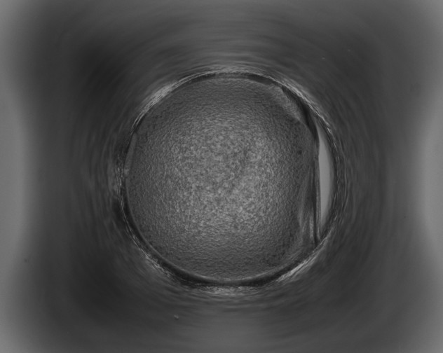 X0000085730985200703231044