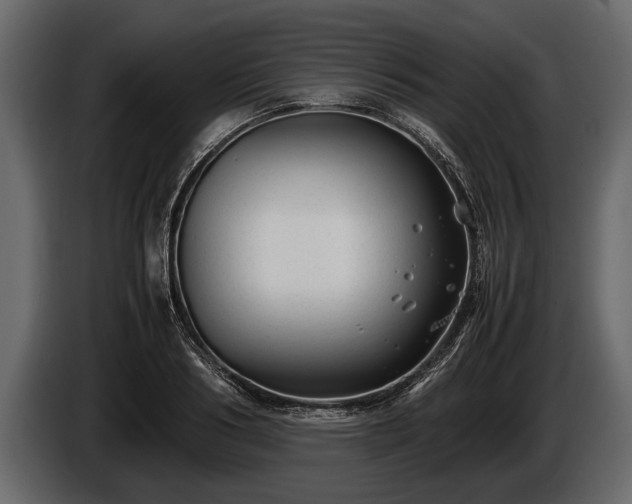 X0000085730986200703231044