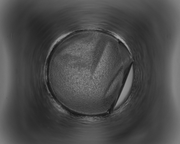 X0000085730987200703231044