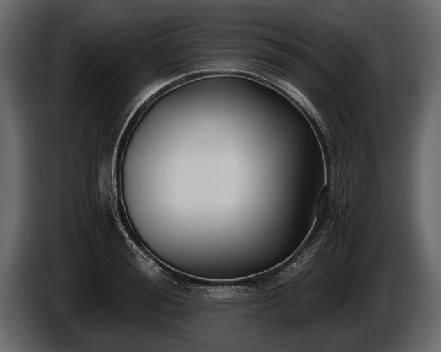 X0000085730988200703231044