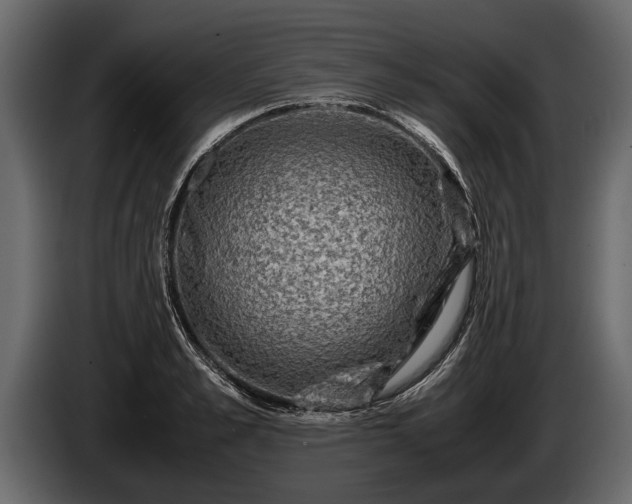 X0000085730989200703231044