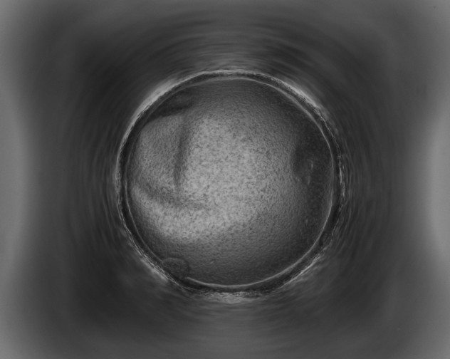 X0000085730990200703231044