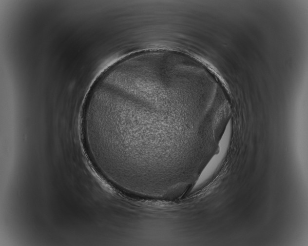 X0000085730991200703231044