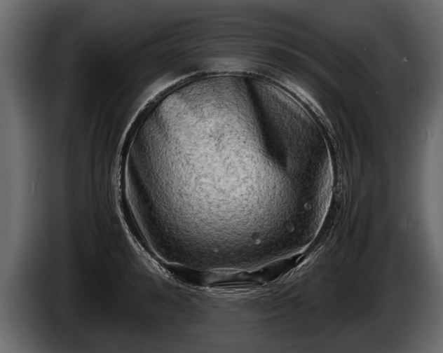 X0000085730992200703231044