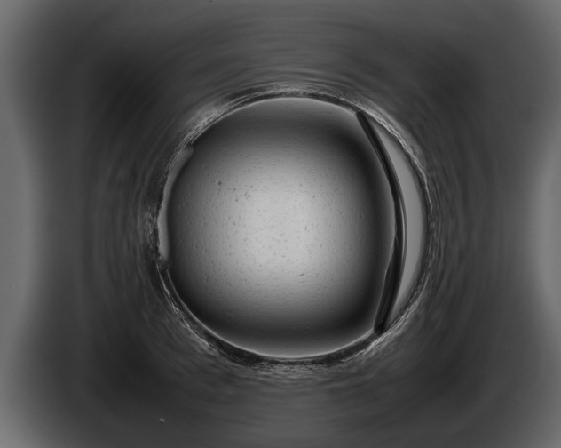 X0000085730993200703231044