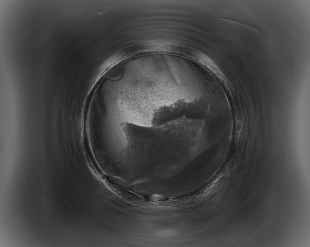 X0000085730994200703231044