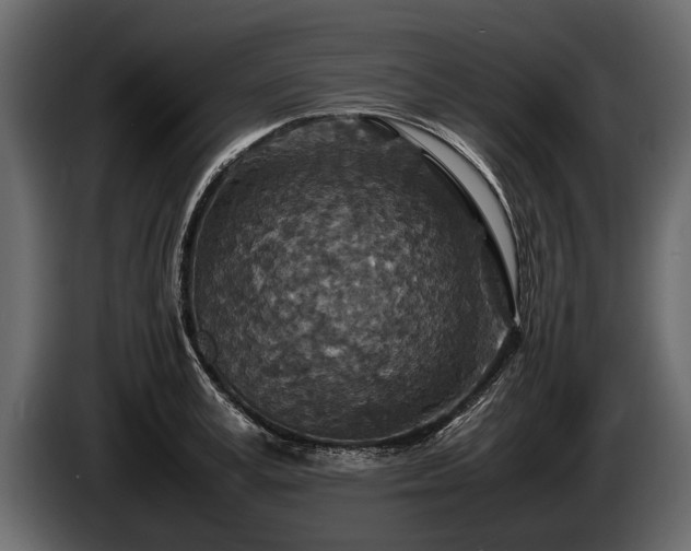 X0000085730995200703231044