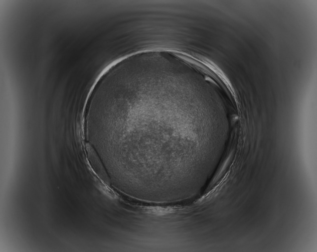 X0000085730996200703231044