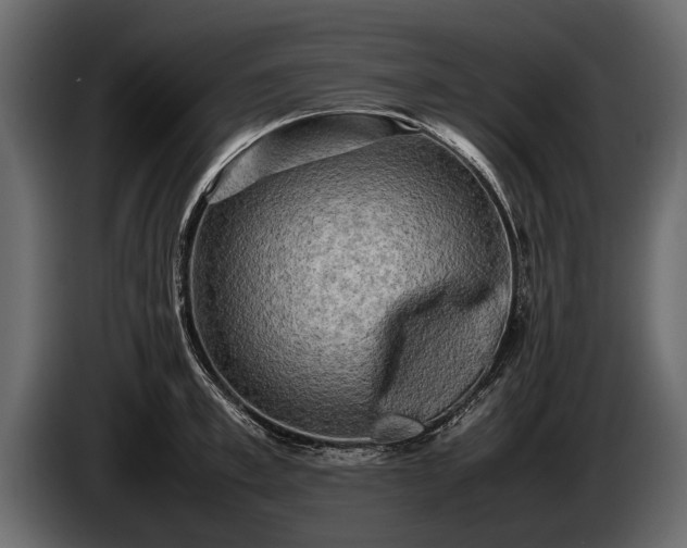 X0000085730997200703231044