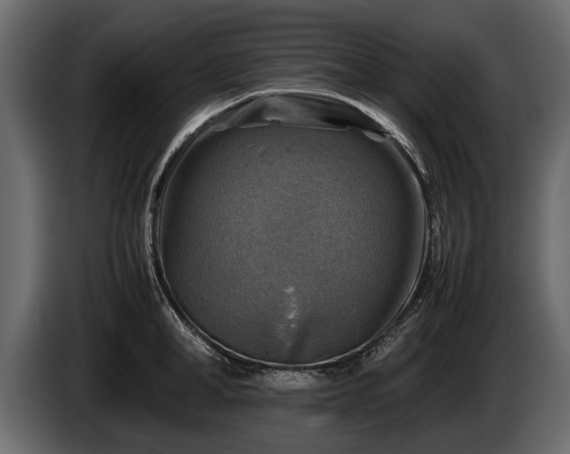 X0000085730998200703231044