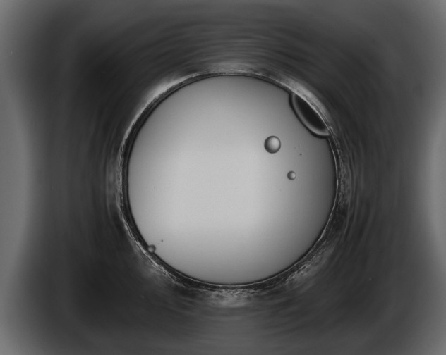 X0000085731000200703231044