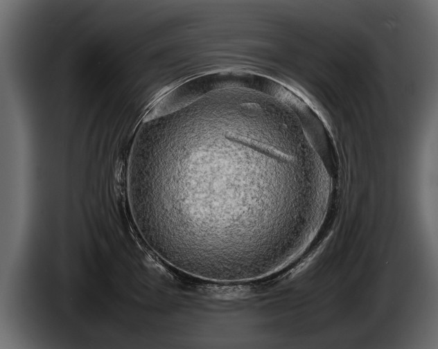 X0000085731001200703231044