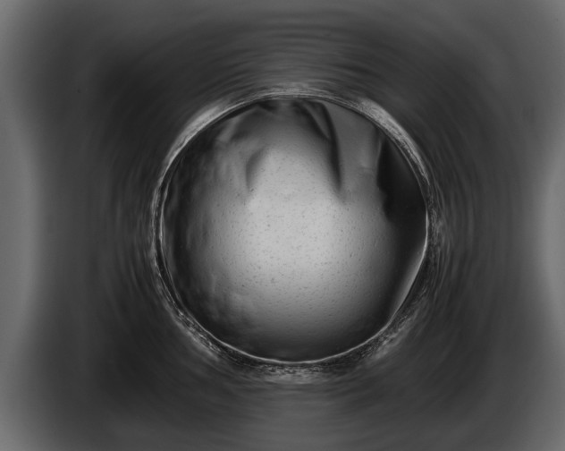 X0000085731002200703231044