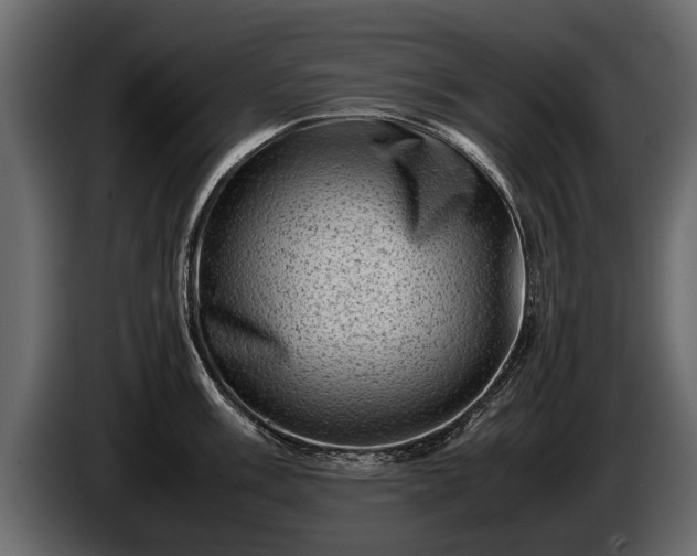 X0000085731003200703231044