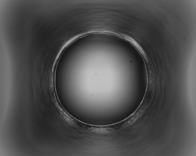 X0000085731004200703231044