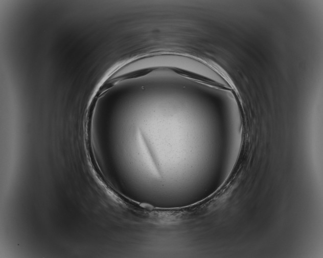 X0000085731005200703231044