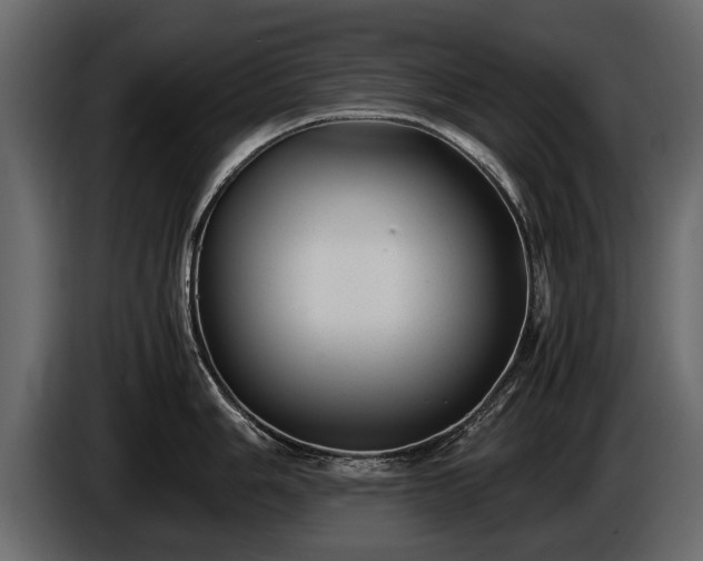 X0000085731006200703231044