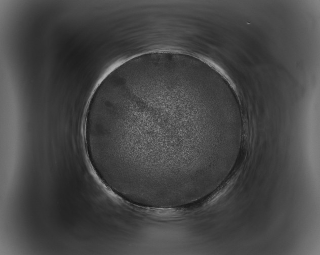 X0000085731007200703231044