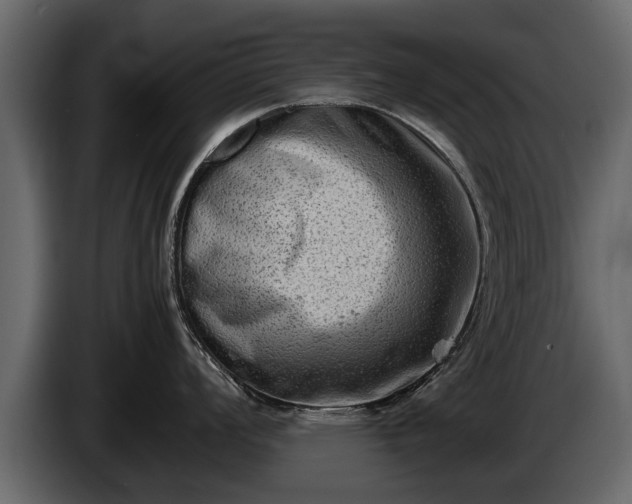 X0000085731008200703231044