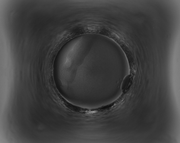 X0000085731009200703231043