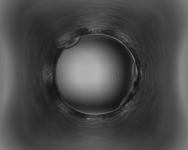 X0000085731012200703231043