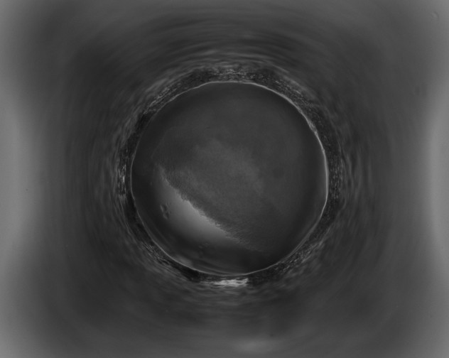 X0000085731013200703231043