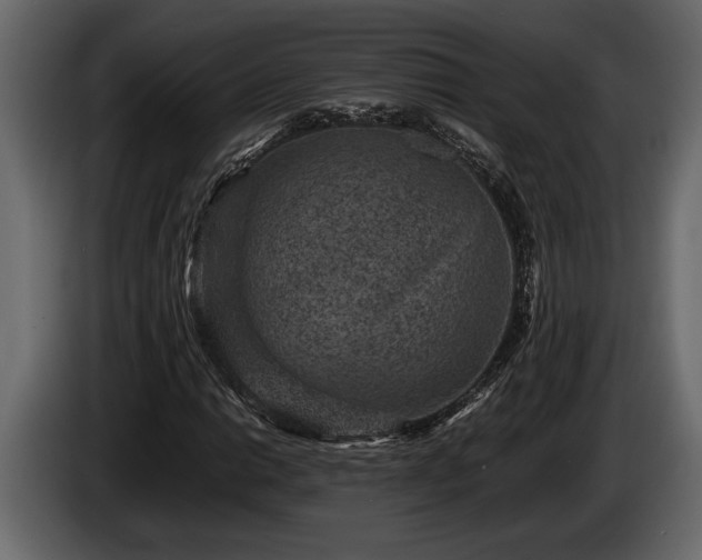 X0000085731014200703231043