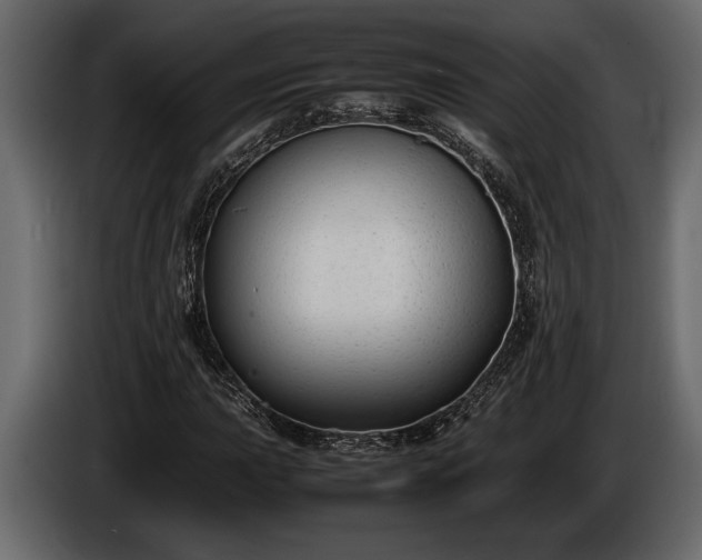 X0000085731015200703231043