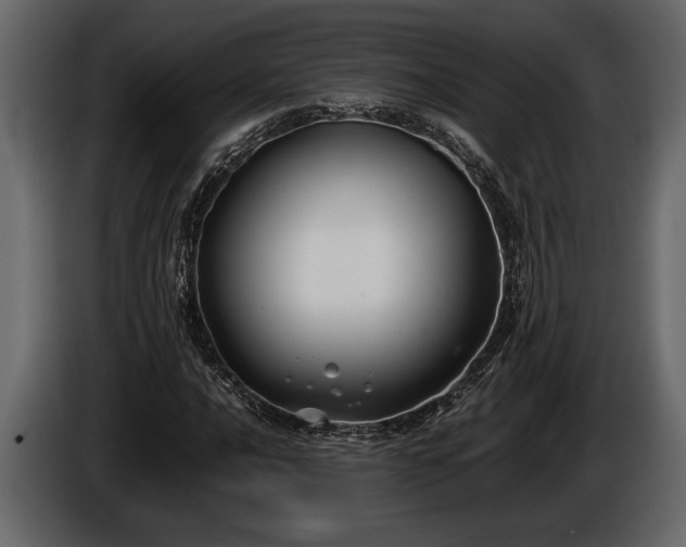 X0000085731016200703231043