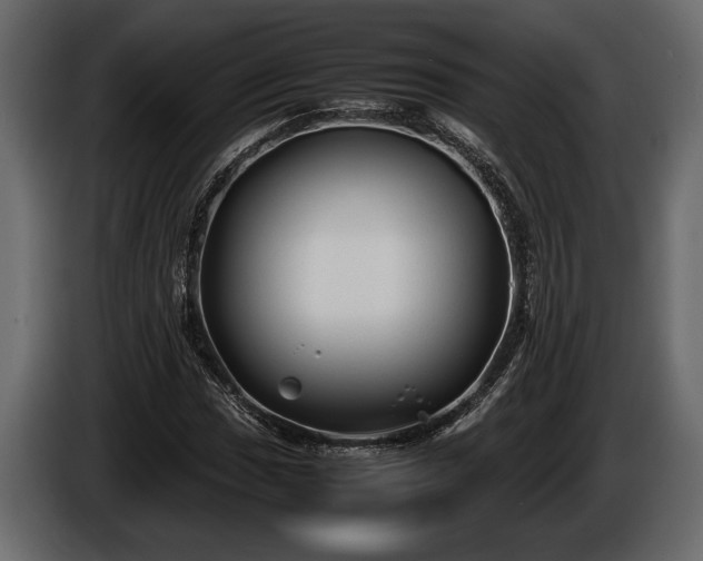 X0000085731017200703231043