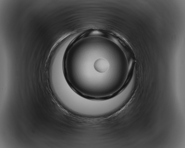 X0000085731018200703231043