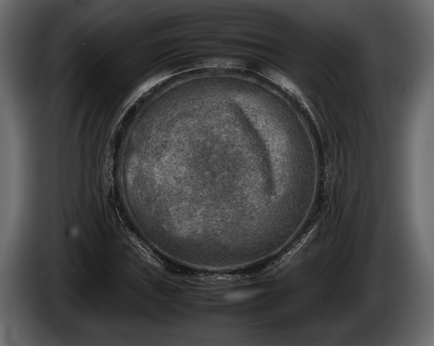 X0000085731019200703231043