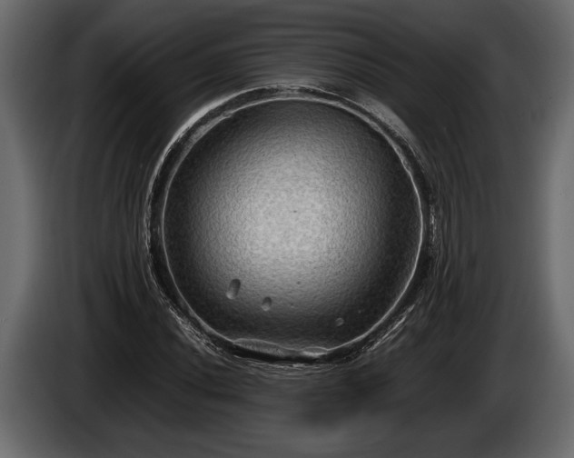 X0000085731020200703231043