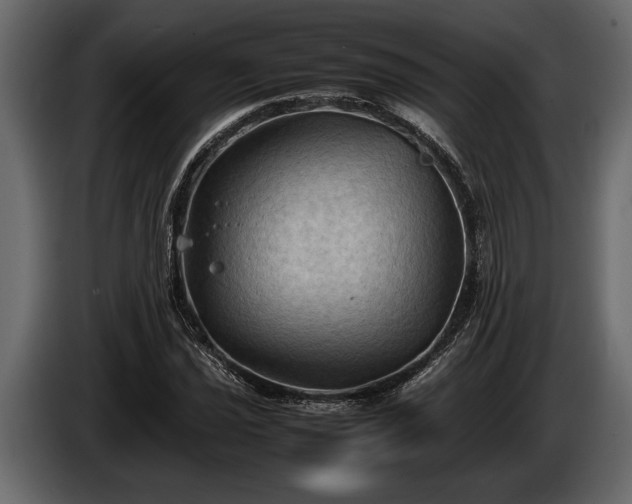 X0000085731021200703231043