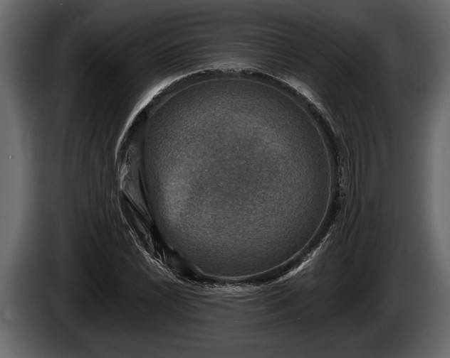 X0000085731022200703231043