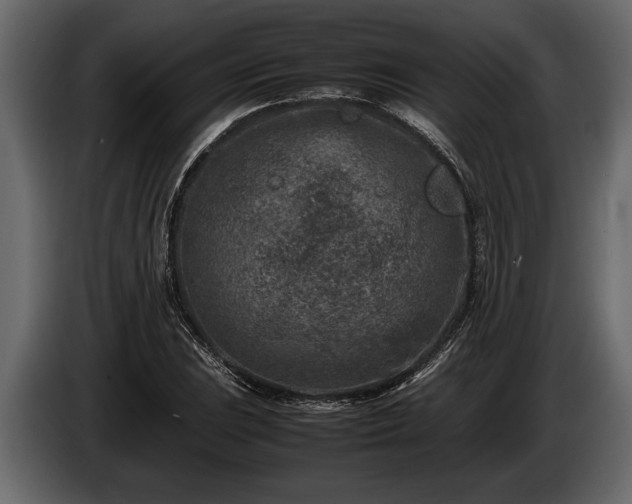 X0000085731023200703231043