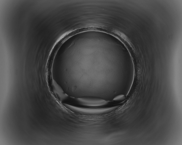 X0000085731024200703231043