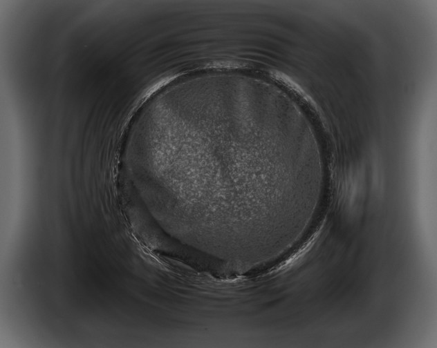 X0000085731025200703231043