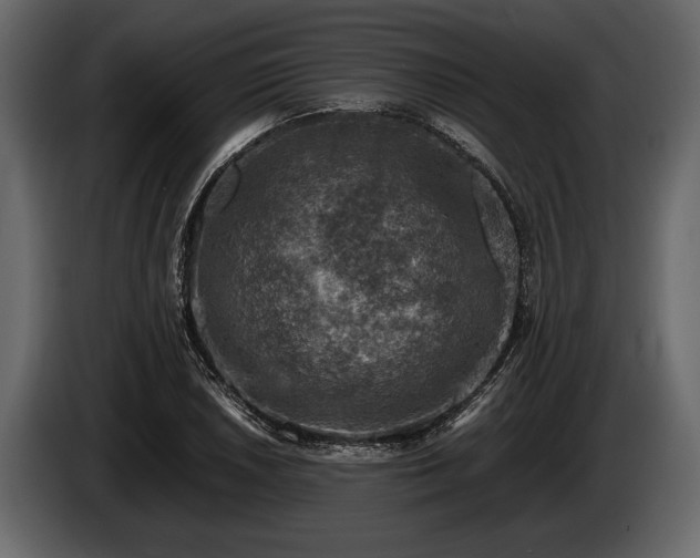 X0000085731026200703231043