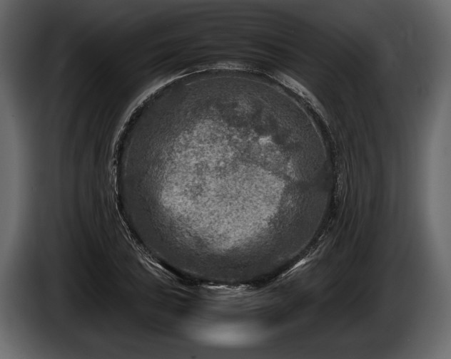 X0000085731027200703231043