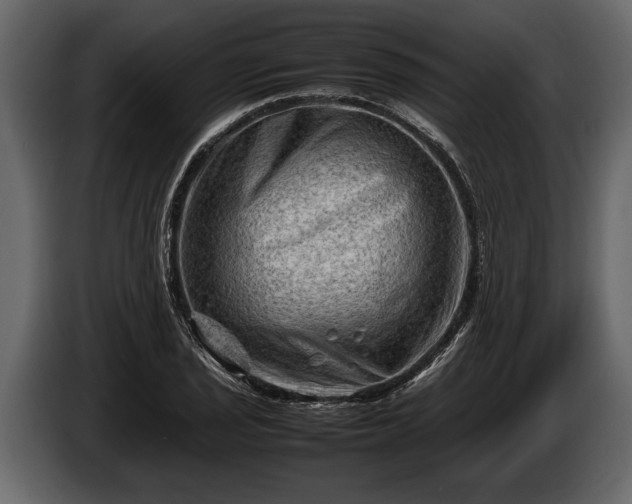 X0000085731029200703231043